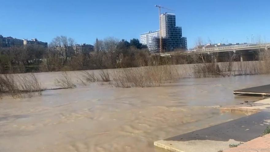 Así está el Ebro a su paso por Zaragoza en el embarcadero de Helios