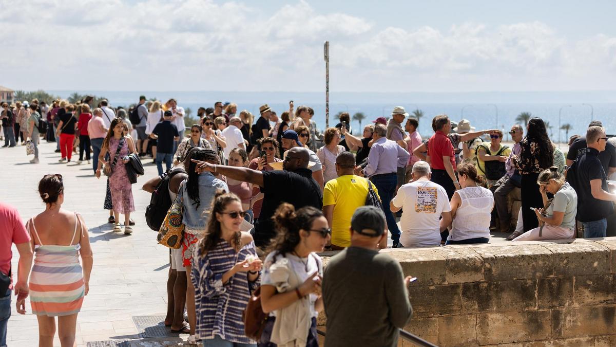 Turistas en las inmediaciones de la catedral de Palma.