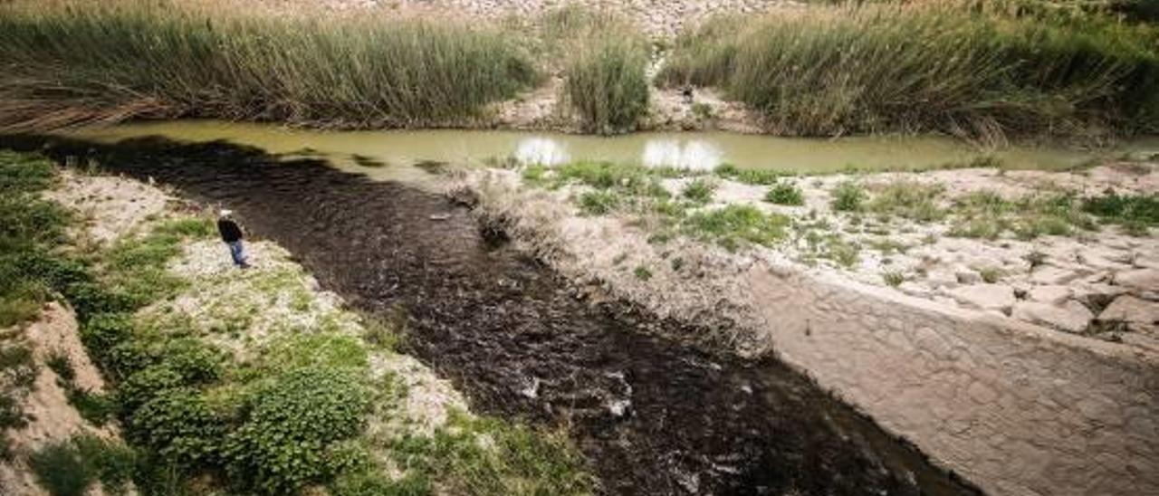 Imagen de archivo de unos vertidos realizados por una empresa al río Segura.