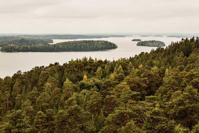 Bosque de Tampere