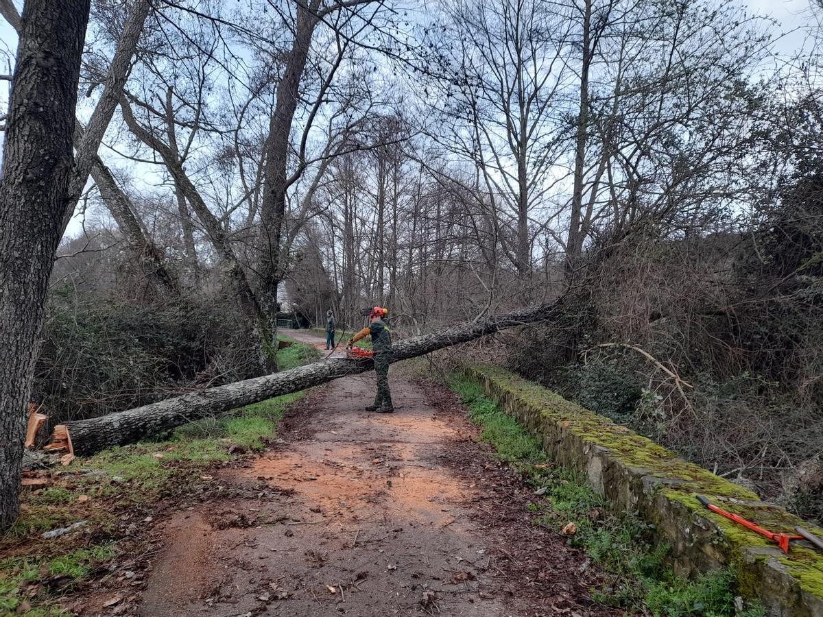 El Ayuntamiento de Plasencia avisa de que los paseos del río siguen cerrados "por precaución".