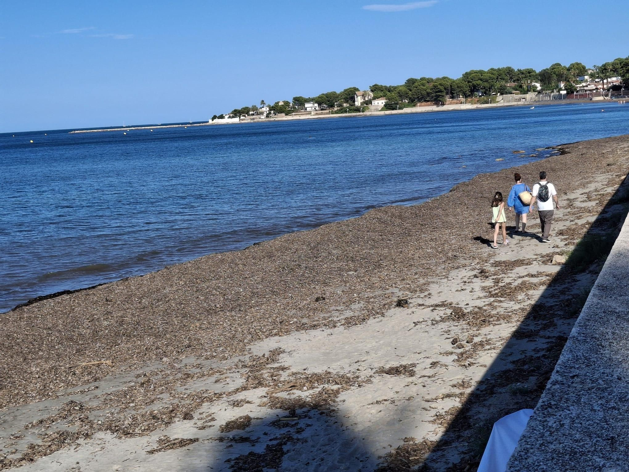 ¡Esto es vida!: manto de posidonia, aguas cristalinas y paz absoluta en la Marineta Cassiana de Dénia