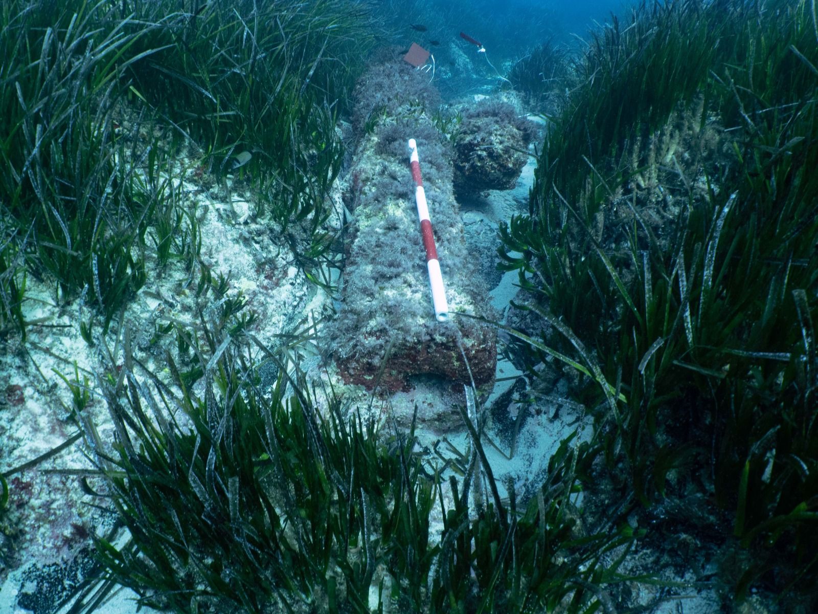 Restos arqueológicos en aguas de Formentera.