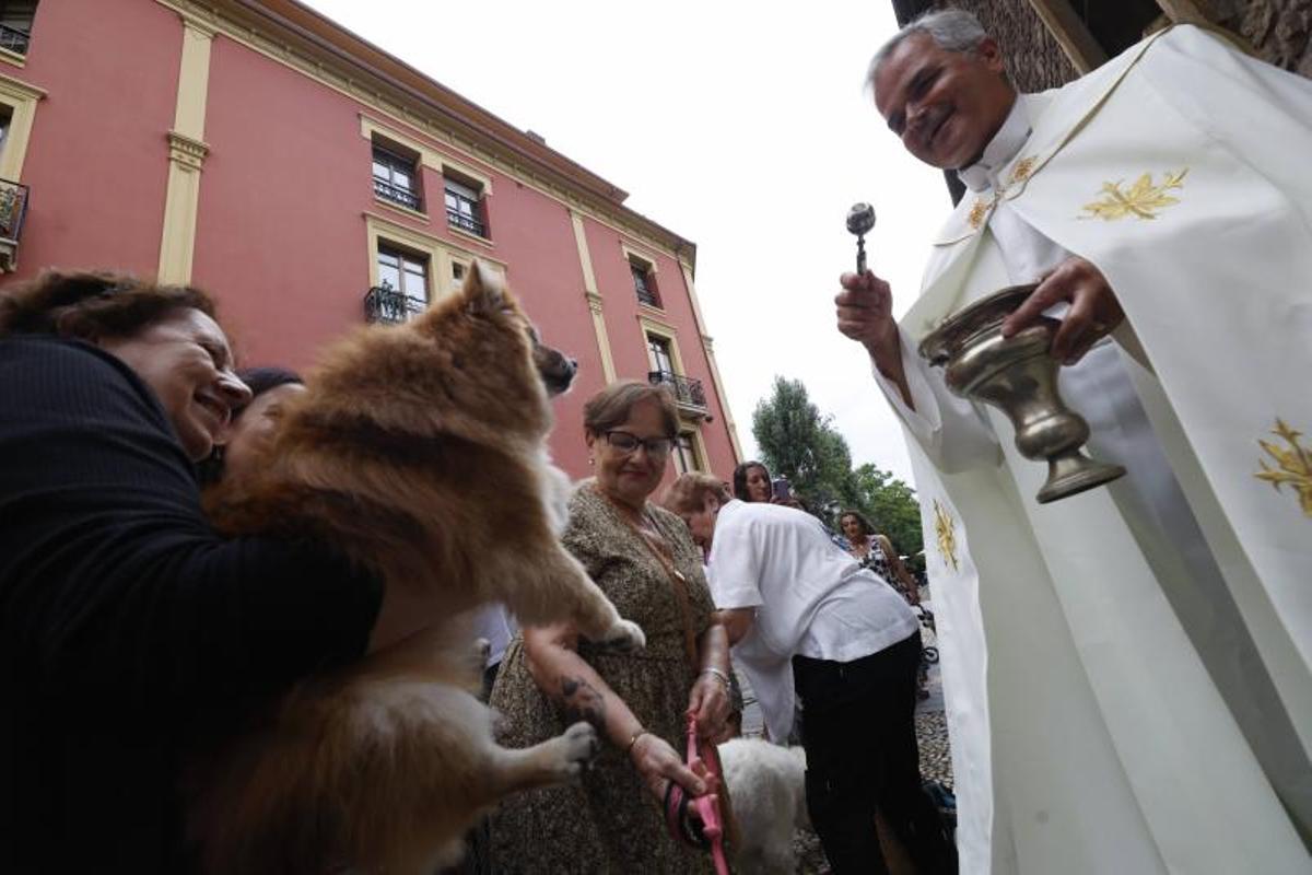EN IMÁGENES: la bendición de San Roque a las mascotas en El Carbayedo, en Avilés
