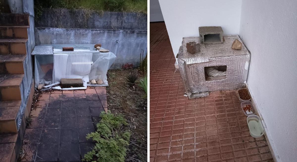 Estructuras que formas en particular hogar de la colonia felina que cuida Mey en Salvaterra.