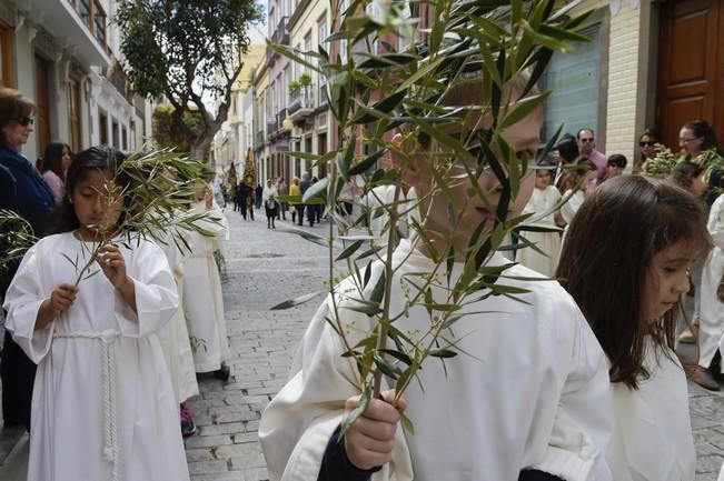 Procesión de La Burrita