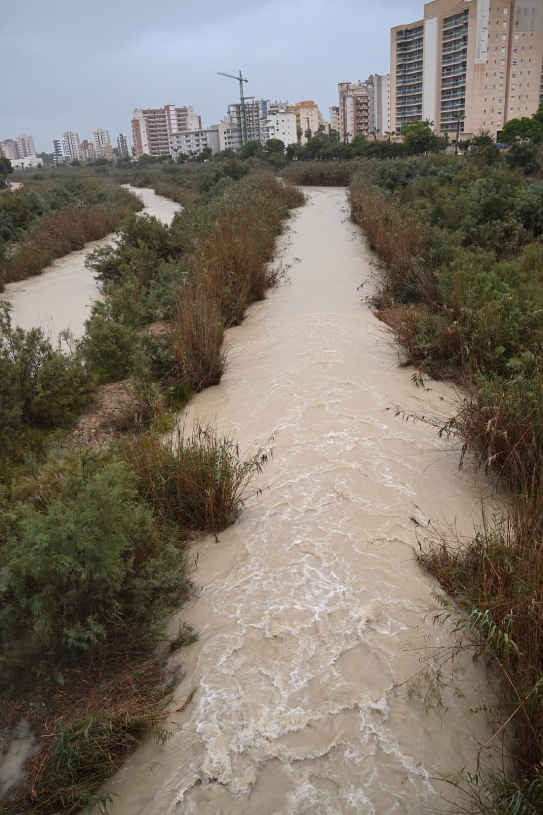Así está el río Segura en Guardamar