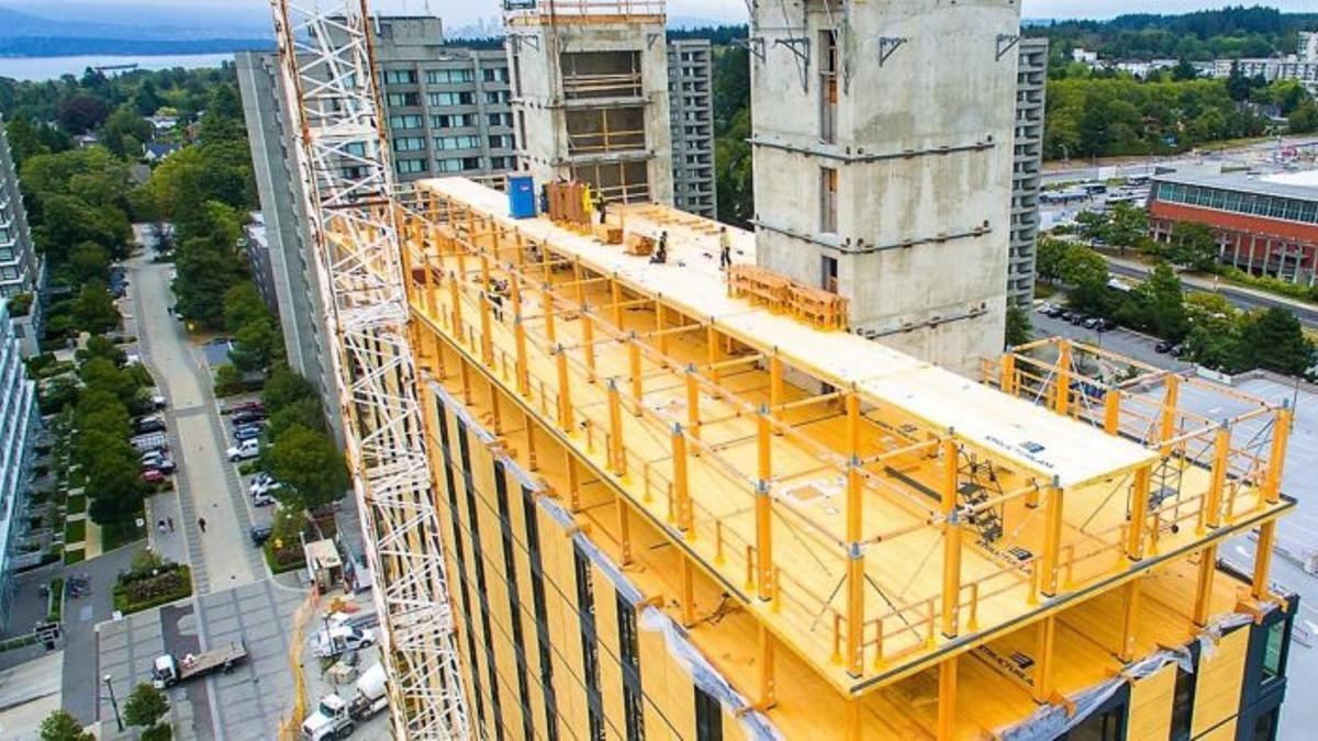 Volver a la madera para construir edificios: nuevo objetivo de la ciencia