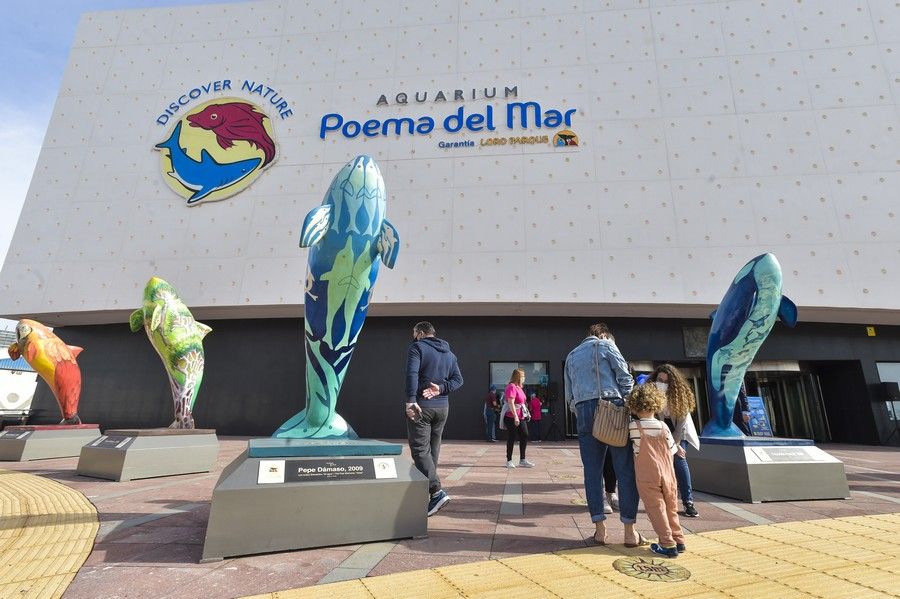 Reapertura del acuario Poema del Mar