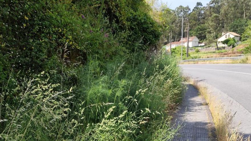 Los vecinos de A Montesiña exigen a la Xunta la limpieza de la carretera PO-244