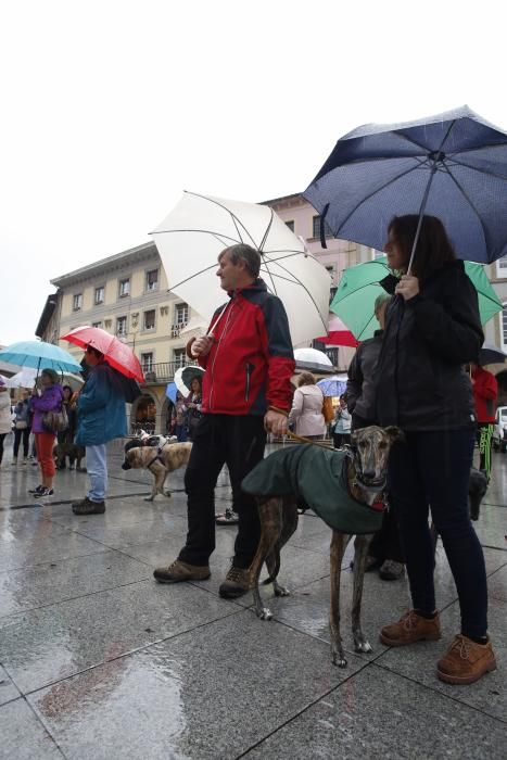 Concentración para reclamar un albergue de animales en Avilés