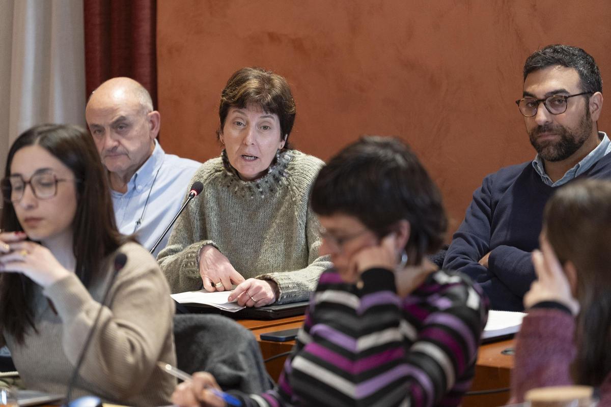 Montserrat Clotet, regidora de Govern Obert, intervenint al ple