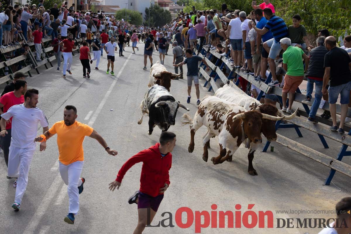 Primer encierro de la Feria del Arroz de Calasparra