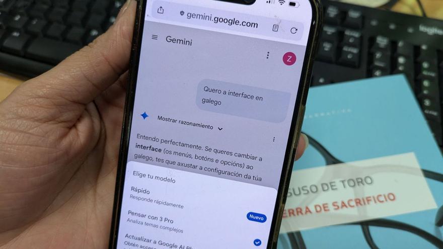 Uso de Gemini 3 en
galego. | |