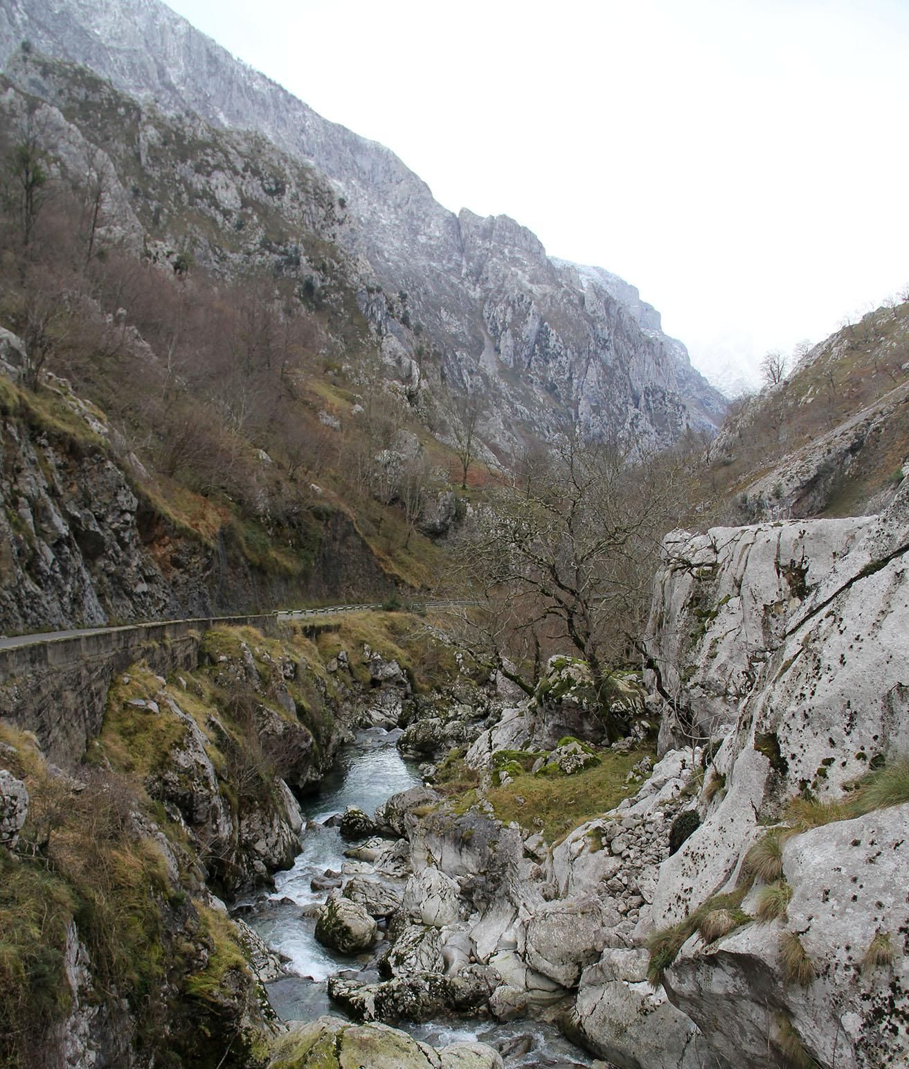 El río Duje por el paraje de Los Joraos, entre Poncebos y Tielve.