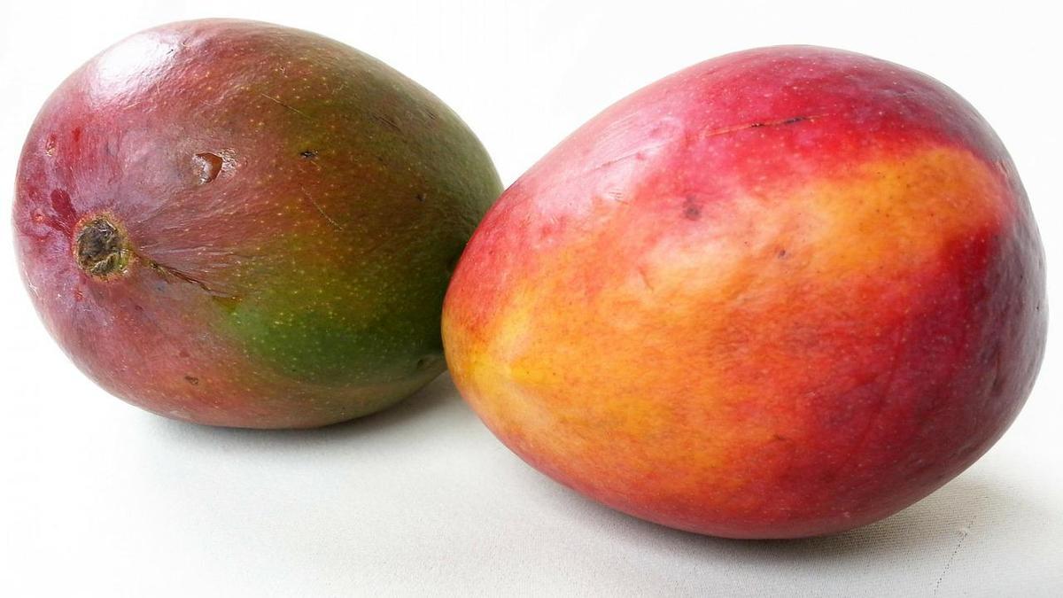 Cómo plantar mangos en casa