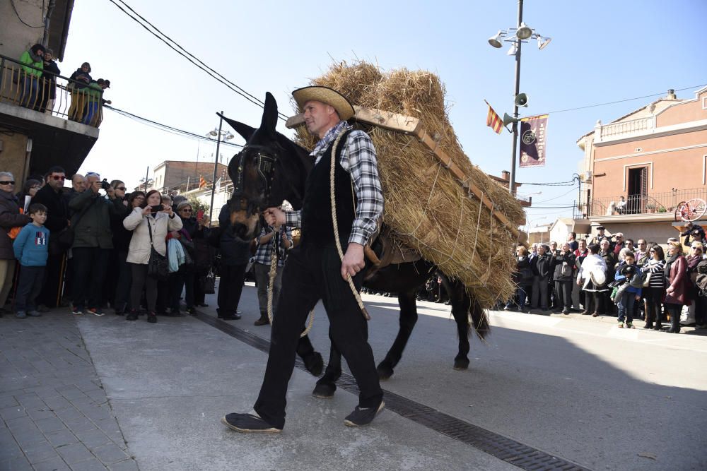 Desfilada de diumenge de la Festa dels Traginers