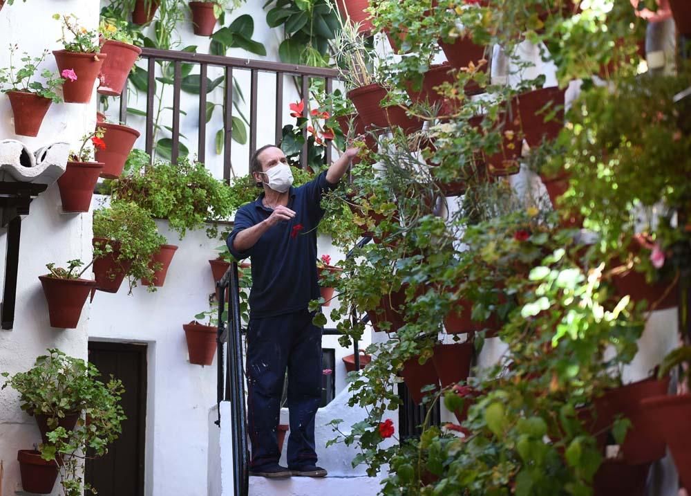 Últimos preparativos del Festival de Patios