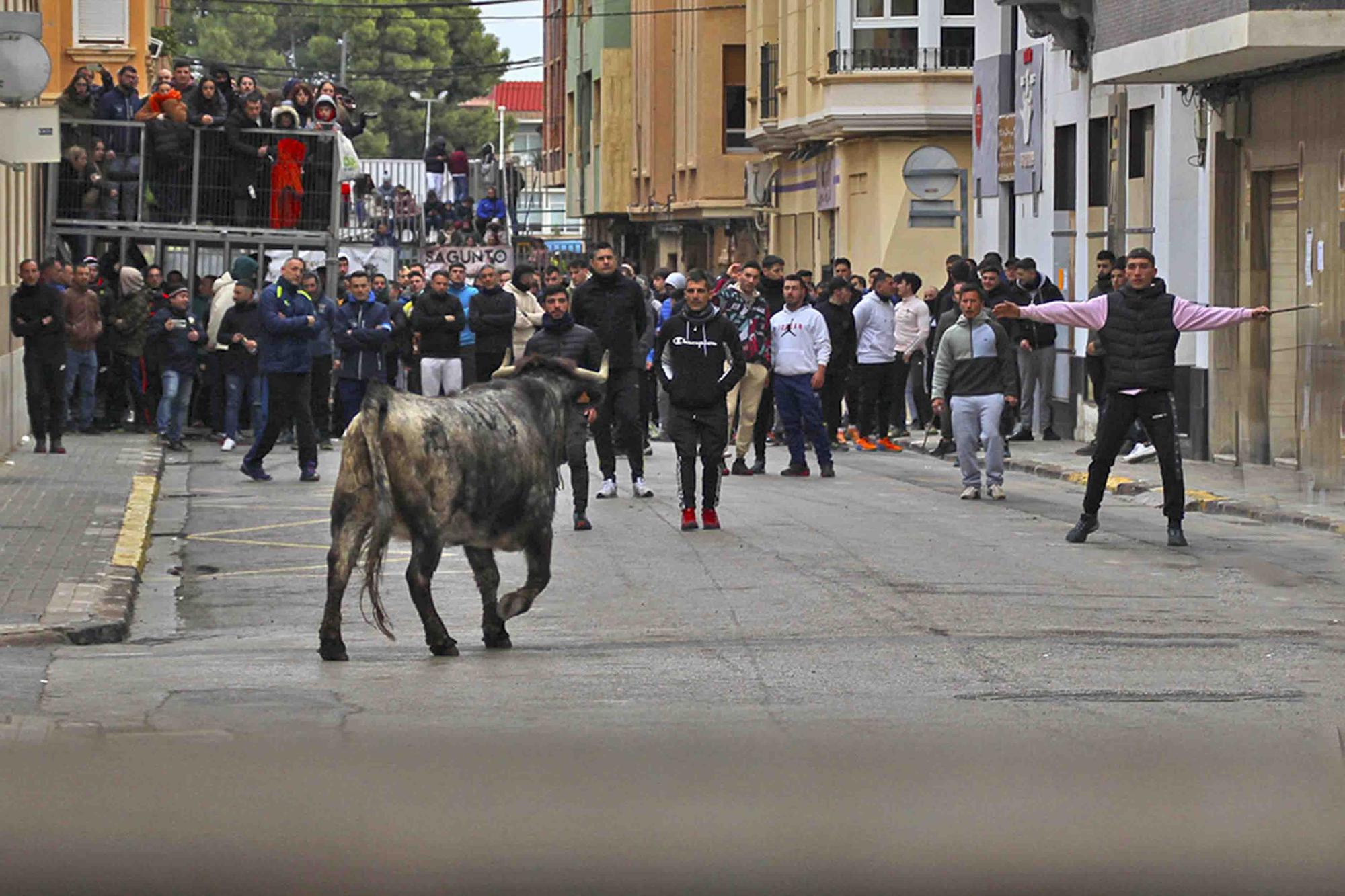 Actos taurinos por Sant Antoni en Sagunt