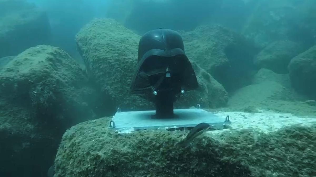 Un pez se pasea sin miedo frente al Darth Vader submarino.