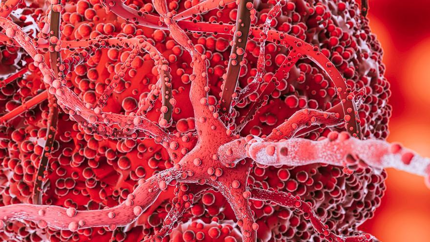 A los tumores cancerígenos les encanta y lo comemos todos los días