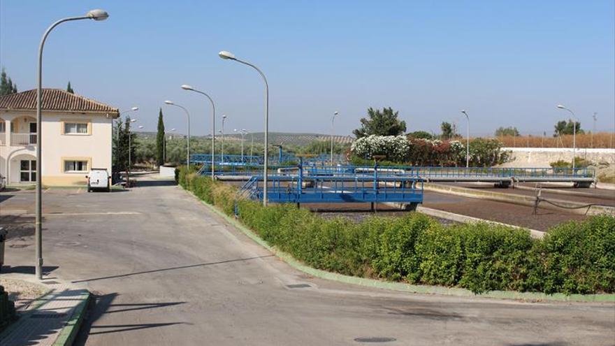 Los regantes piden para el olivo un cupo de agua residual