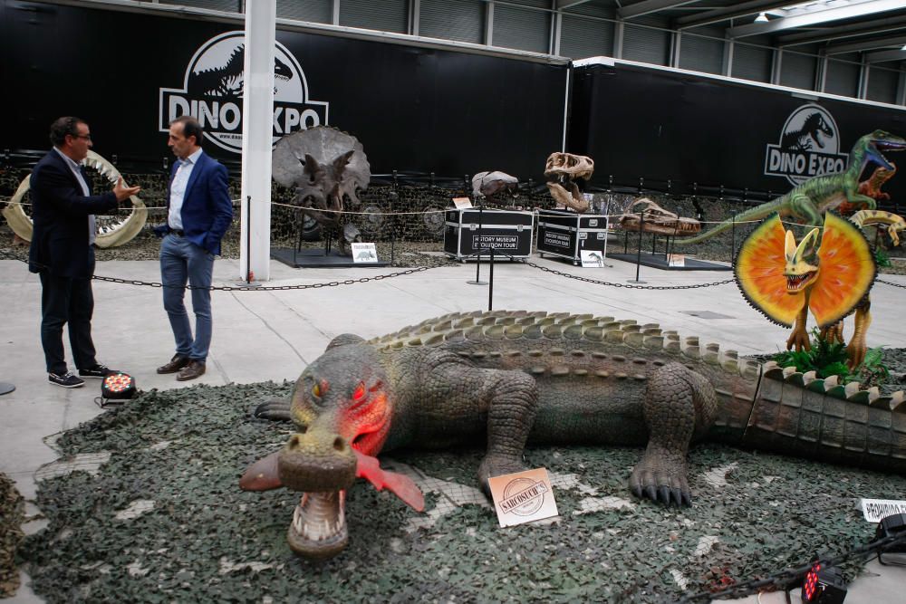 Dinoexpo en Ifeza