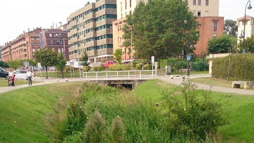 Vegetación que cubre totalmente el cauce del río.