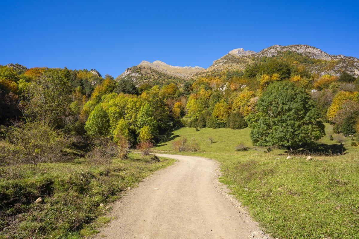 Tener tiempo para caminar en la naturaleza es un motivo más que suficiente para dejar la ciudad