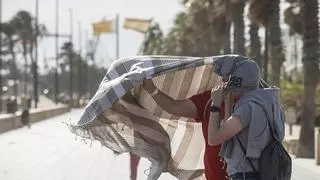 Directo | Renfe suspende los trenes en el corredor mediterráneo y entre València y Castellón