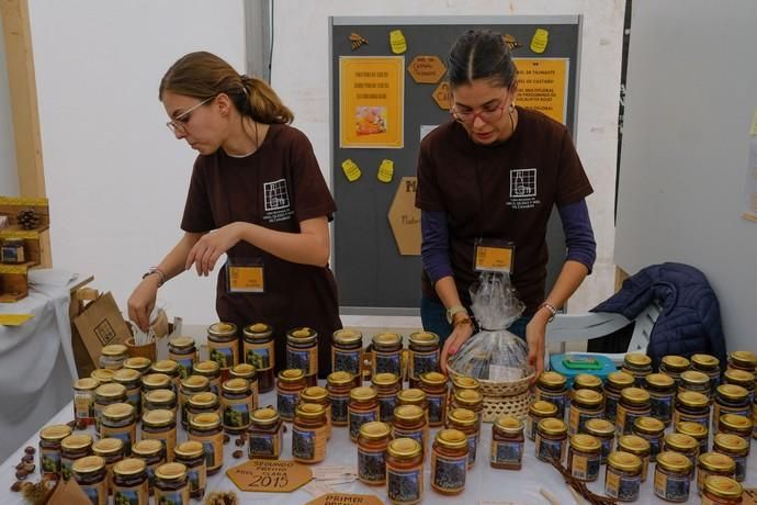 FERIA VINO, QUESO Y MIEL