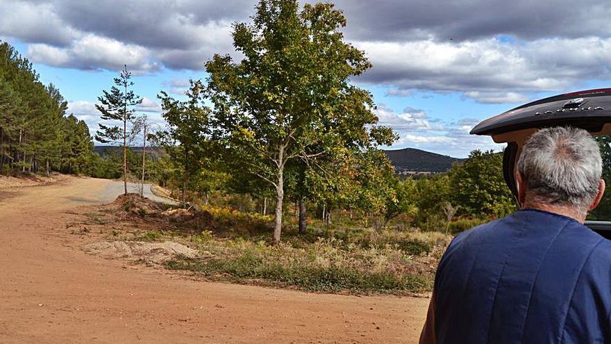 La Junta acondiciona un observatorio para la fauna en Ferreras