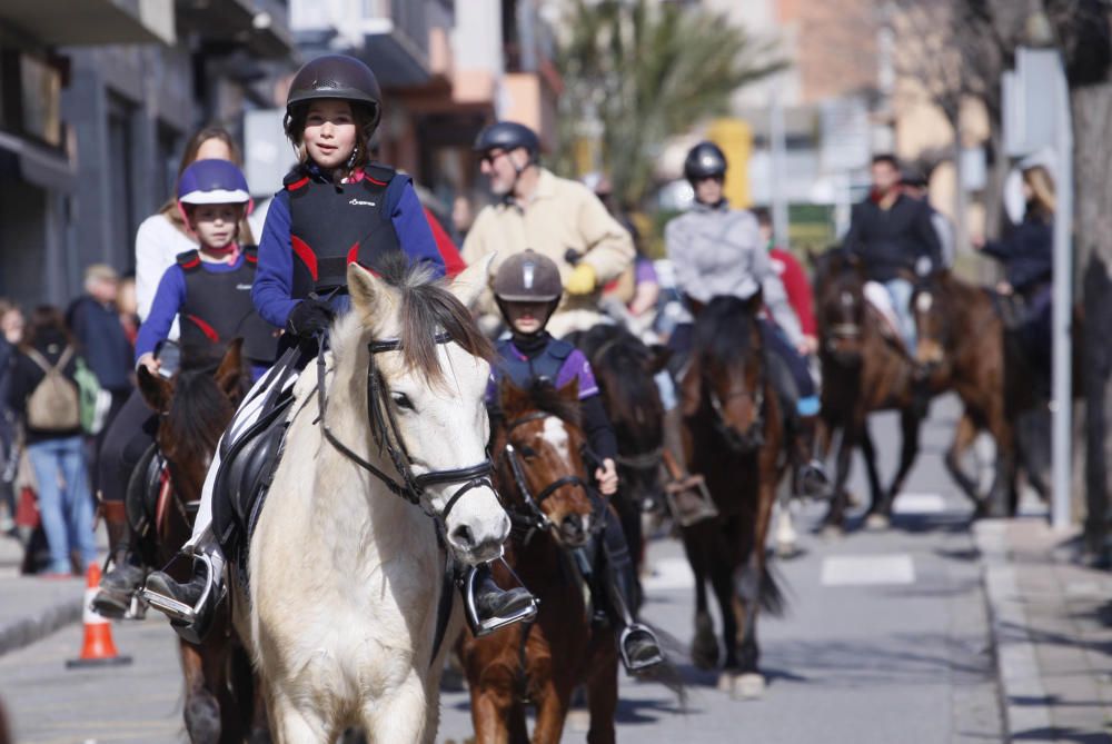 Festa de Sant Antoni Abad a Torroella de Montgrí