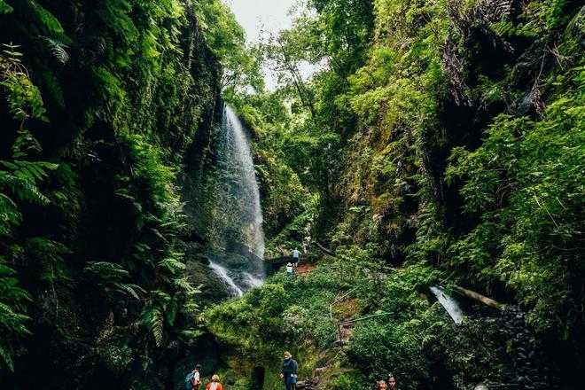 Los Tilos, La Palma