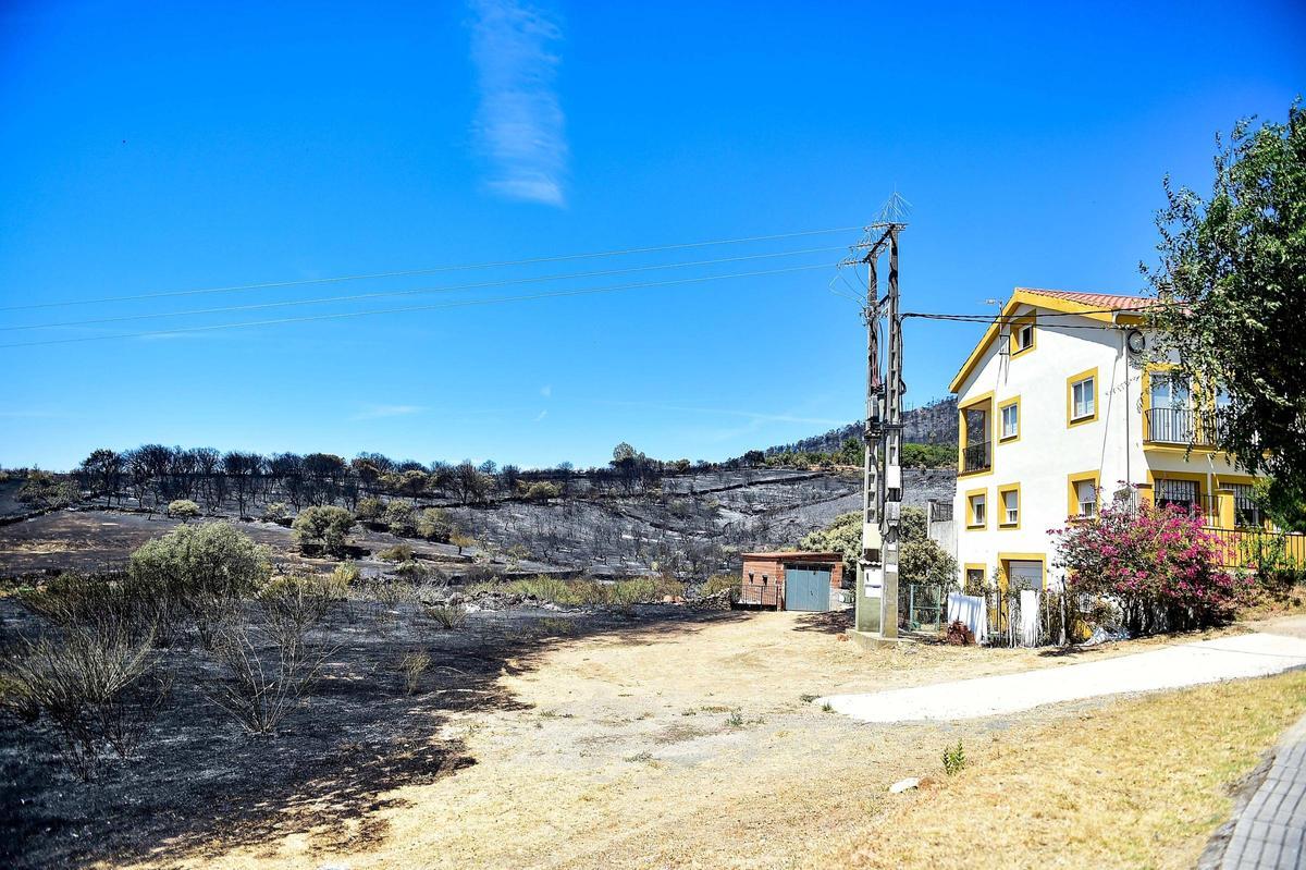 Fotogalería | Así ha quedado la zona de Casas de Millán tras el paso del incendio