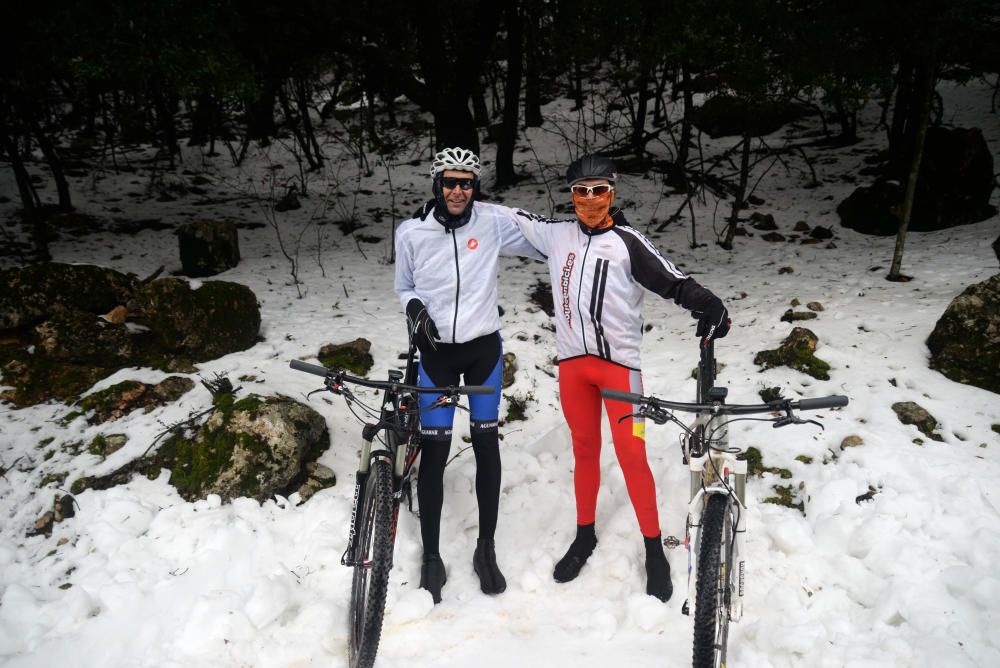 Los mallorquines salen a jugar con la nieve