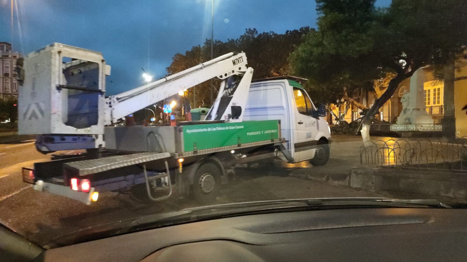 Una rama de gran tamaño cae en la Plaza de las Ranas