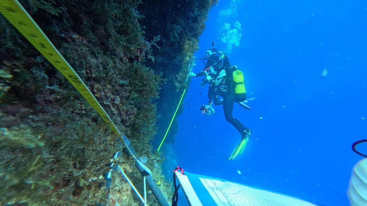Toma de datos y muestras mediante buceo científico en las áreas exploradas