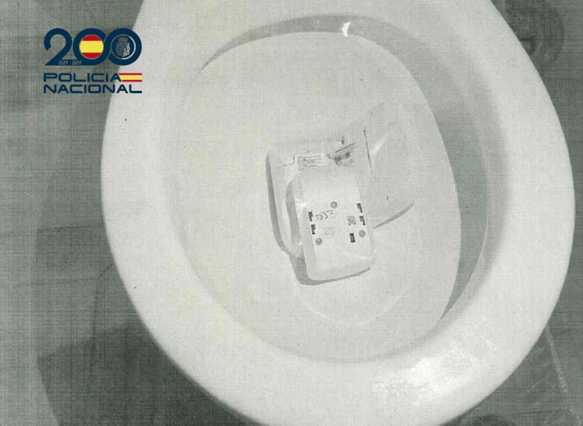 Los acusados arrojaron la alarma de la vivienda al inodoro.