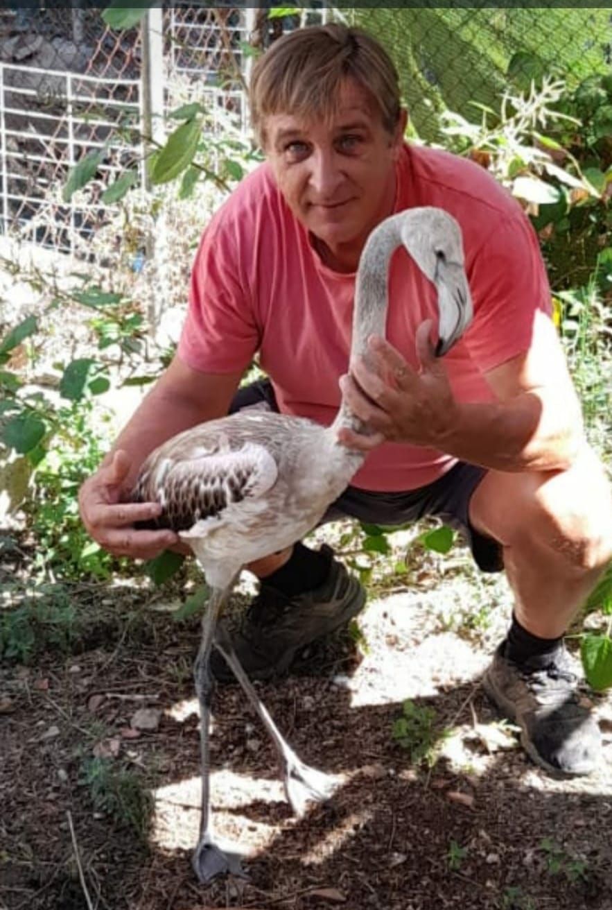 Salva Chabrera, con el flamenco rescatado y recuperado por él mismo en Burriana