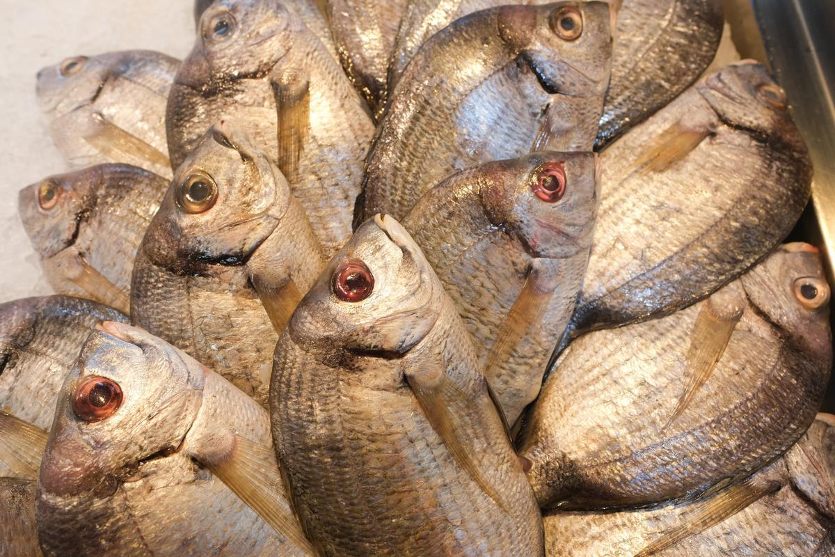 Imagen de archivo de la pescadería María del Pino, en Gran Canaria.