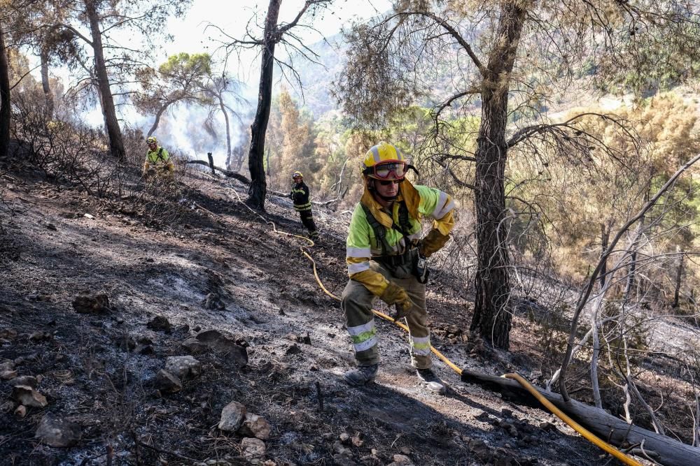 El fuego se inició a última hora de ayer miércoles y ha estado activo toda la noche.