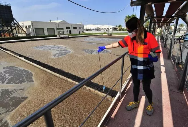 Aigües d’Elx licita por un millón la gestión de las 12.800 toneladas anuales de lodo que genera Elche