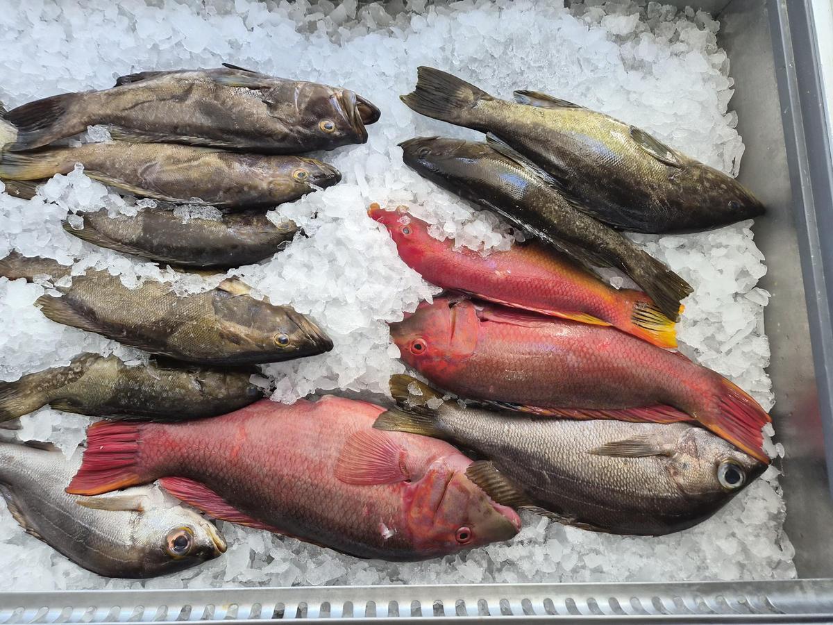 Pescado fresco del día.