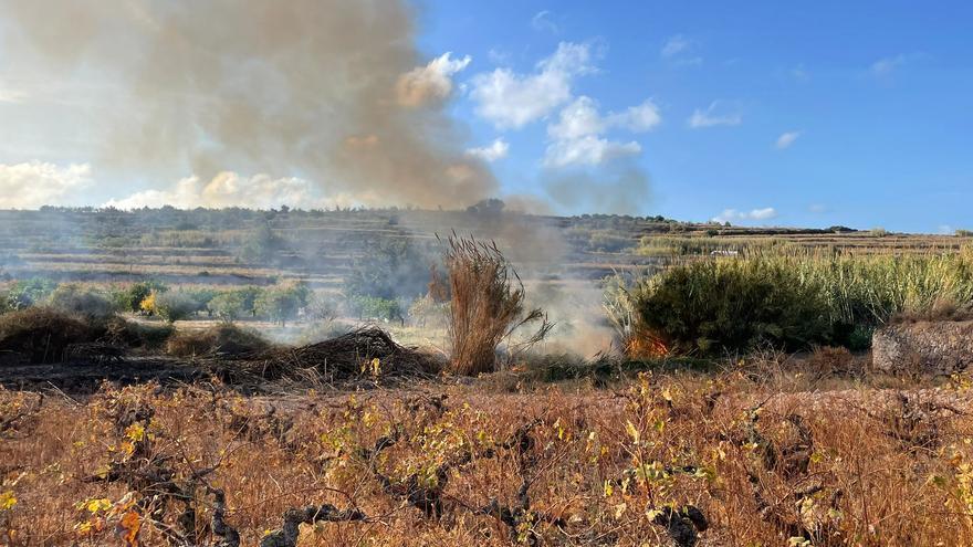 Enésimo incendio en la Marina Alta: vuelve a arder el paraje de la Rana en Gata de Gorgos