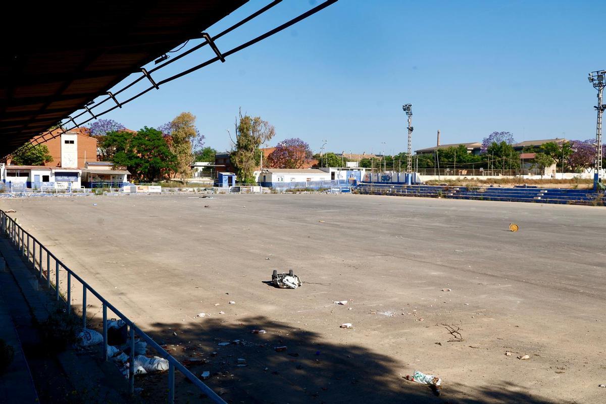 Estado actual del campo 'El Palleter' en Paiporta, propiedad de la Federación