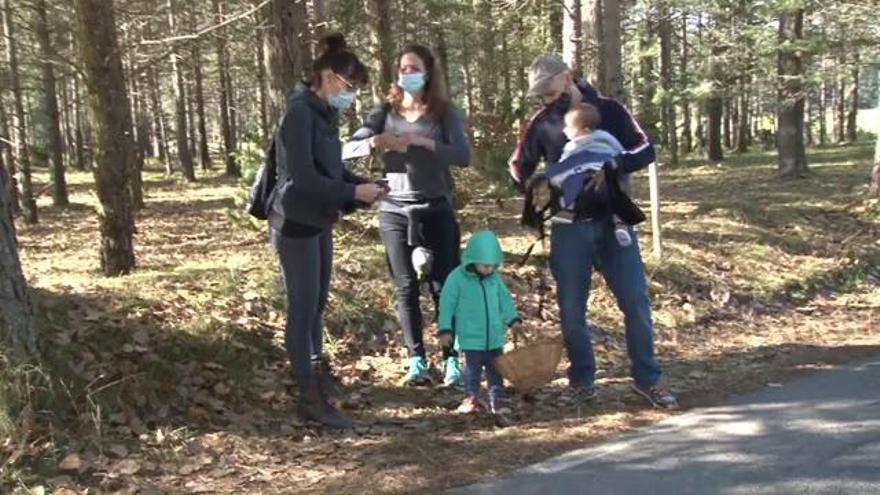 La temporada de bolets omple de cotxes els vorals de les carreteres del Berguedà