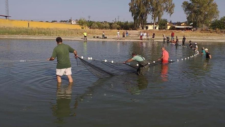 Retiran las tencas de San Lázaro al aparecer ejemplares muertos