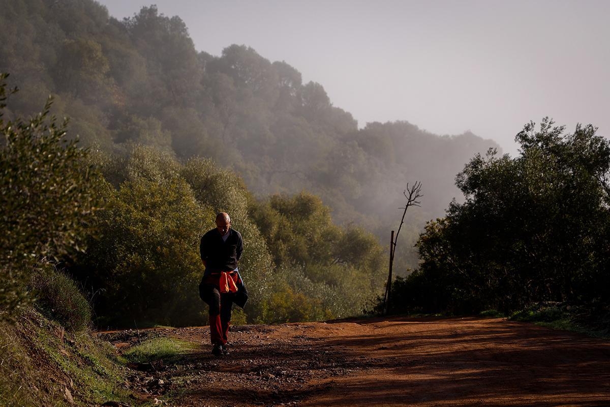El cinturón verde muestra su cara más completa El cinturón verde muestra su cara más completa