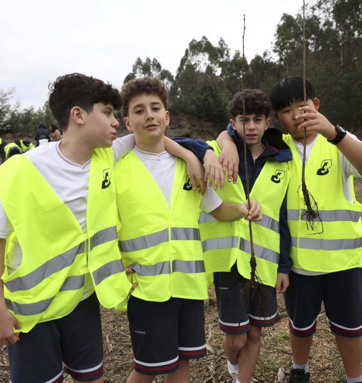 Parcela de Cornazo donde se hizo la plantación. | NOÉ PARGA